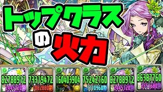 火力おばけ！究極した学園カーリー使ってみた！【パズドラ】