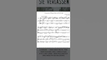 VIVALDI: Concerto for Recorder, Strings & Continuo in F Major, RV 442: ii. Largo e cantabile (alt)