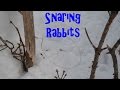 Setting Rabbit Snares / Discussing Flip-Up Snares