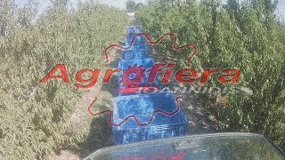 Farm Train | Agrofiera Ioannidis