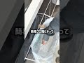 ダイソー神収納3選✨