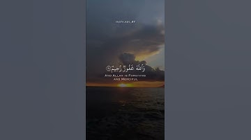 #مشاري_العفاسي /ماتيسر من سورة المائدة/#قران #قرآن #قران_كريم  #قران_مجود #fyp #اكسبلور #اكسبلورر