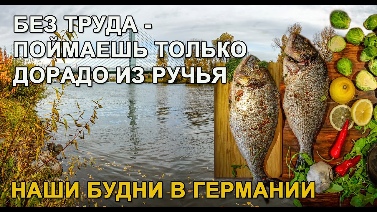 Начался сезон посадок. Дорада из ручья. Отдых, что бы чуствовать себя хорошо.
