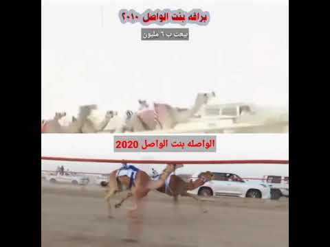 سلالة الواصل جمل علي بن سند الجهني من عام 2010 إلى عام 2020