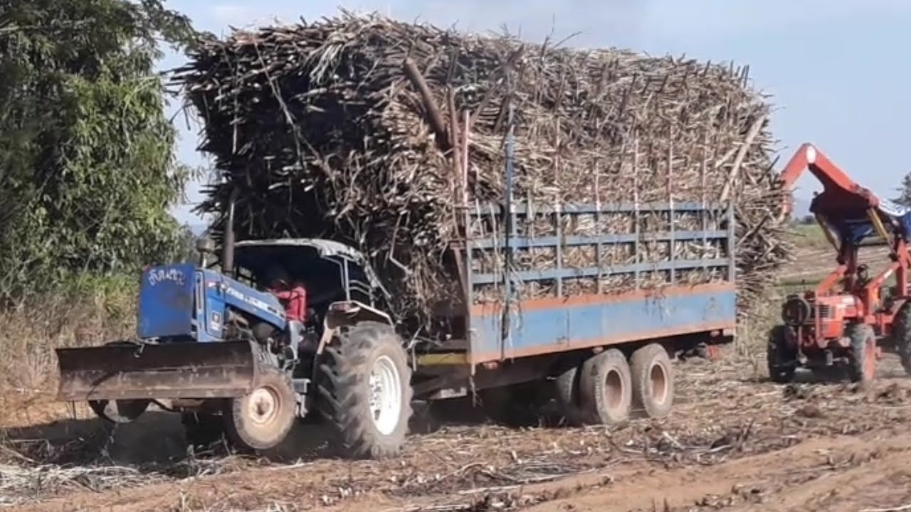 ฟอร์ด 6610 และ Kubota m8540 ลากสาลี่ใหญ่ ขนาดเกือบ 40 ตัน ขึ้นเนิน สบาย