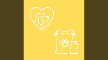 Tremendous Moods for Lazy Doggo