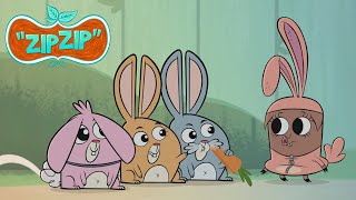 She's THE one | Zip Zip | 3 hours COMPILATION - Season 2 | Cartoon for kids