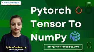How to convert PyTorch Tensor to Numpy | PyTorch Tensor to NumPy