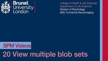 SPM Tutorial 20 - View Multiple SPMs