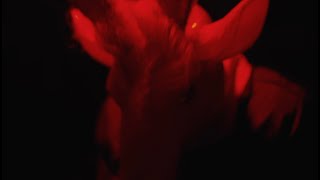 Sumthin Sumthin X Ero808 - What U Need Official Visualizer