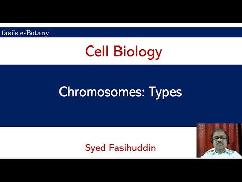 Types of Chromosomes