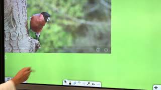 Fujitsu IWB Video