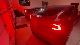 Shantis And My Teslas Lightshowsimg 0177