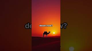 The Secret of the Camel #camels #alpaca