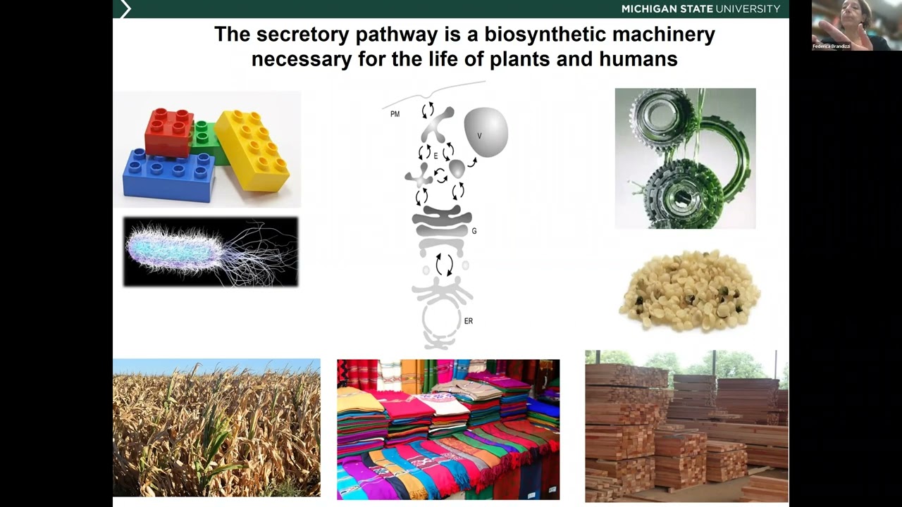 Federica Brandizzi, Department of Plant Biology, Michigan State University - April 6, 2022