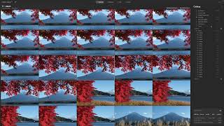 Luminar Review for Photo Organizing and Simple Editing