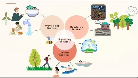 Tradeoffs amongst Ecosystem Services: Ecological Flow and Economy in the Hérault Basin