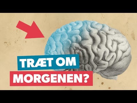 Video: Er teenagehjerner virkelig anderledes end voksne?