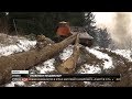 Лісники знищили зрубаними деревами одну з проток Смугарського водоспаду – активісти Буковини
