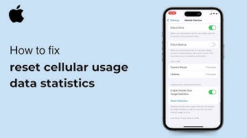 How to reset cellular usage data statistics ( iOS ) 2024