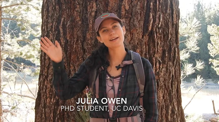 Julia Owen Final Video