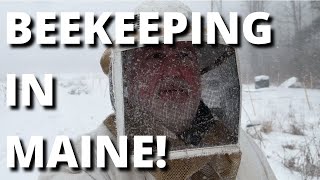Full Beekeeping in Maine, A bit of weather coming in! News