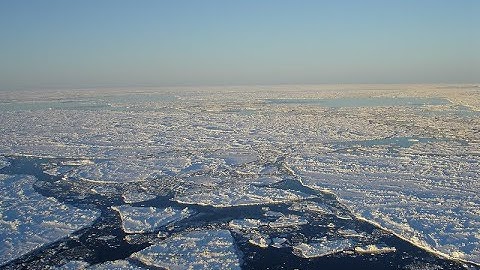 The State of Sea Ice Forecasting: Sea Ice Community Meeting June 2025
