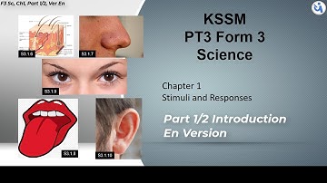 #PT3 #KSSM #Science | Form 3 | Chapter 1 |  Stimuli and Responses | Part 1/2, Eng