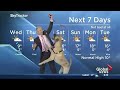 Best funny dogs interrupt work from home live interviews news reports compilation 2021