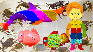 Kem Ốc review đồ chơi câu cá mập baby shark, cứu con cua, ốc sên bạch tuộc, crab thoát khỏi cá mập.