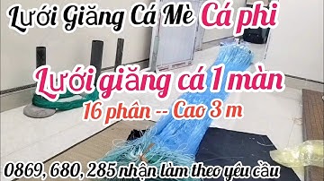lưới giăng cá 1 màn  Đánh nổi- giăng cá mè cá phi lưới đánh cá 1m thái lan