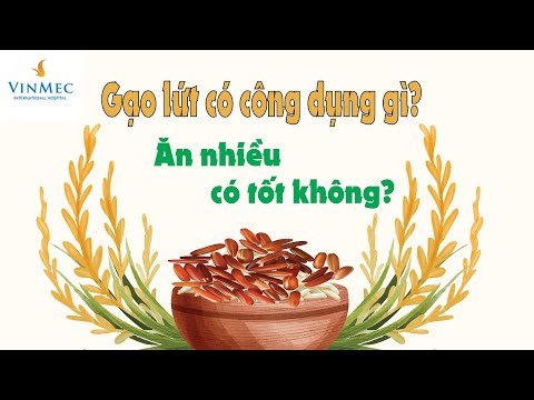 Video: Nhật ký ăn kiêng của một vận động viên