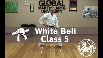 Shotokan Karate Beginner Kata Class - 9th Kyu White Belt - Class 5