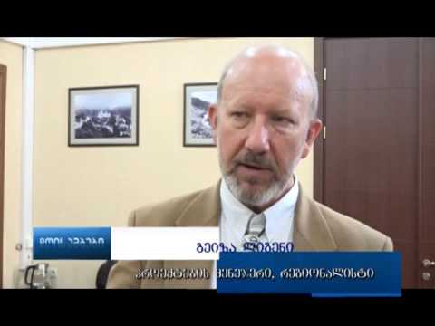 მიწათსარგებლობის განვითარების შესახებ უცხოელი და ქართველი არქიტექტორები მსჯელობდნენ