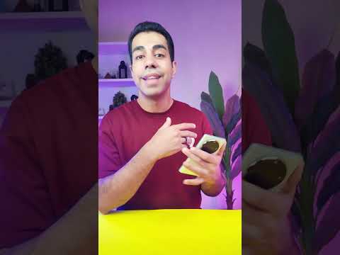 خللي بالك من الرساله دي علي واتساب Summeronshorts