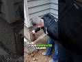 Why Old Drain Tiles FAIL! 🏠🌊