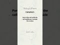 Cytoplasm #biology #bio #science #zoology #icse