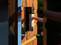 Ring Doorbell Audio Not Working? Fix the "Privacy Glitch"