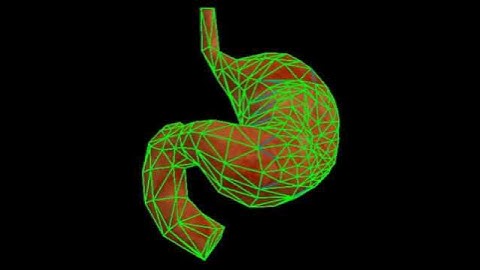 Adaptive simulation for deformable object using Level Of Detail