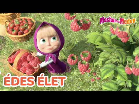 Masha és a Medve 🍳 Édes élet 👩‍🍳 Kedvenc epizódok