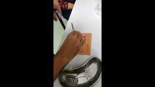 Simutomy- Dental Suturing Trainer Part 3