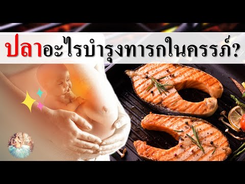 อาหารคนท้อง : ปลาอะไรบำรุงทารกในครรภ์? | อาหารบํารุงครรภ์ | คนท้อง Everything