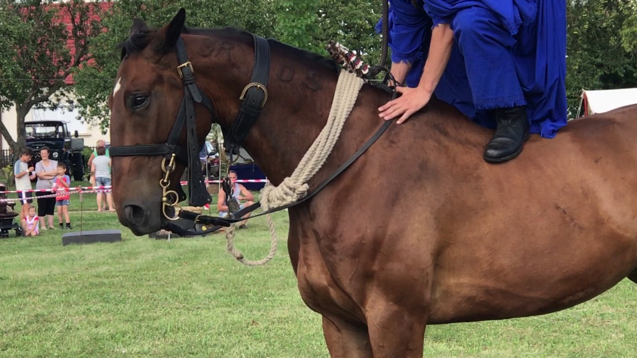 Macaristanda Selcuklu Türklerinin devami niteliginde kutlamalardan bir kesit