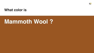 Mammoth Wool color #995522 hex color - Orange color - Cool color 995522