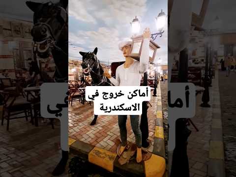 الافندينا كافيه قهوة أسكندرية بمذاق التاريخ