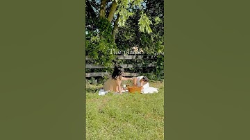 Romantic Backyard Picnic for Two 🧺 | Cozy Outdoor Date Idea