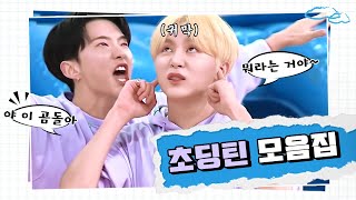 [세븐틴] 초딩틴 (잼민틴) 모음집