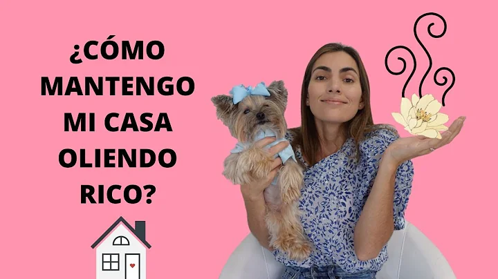 CMO MNTENGO MI CASA OLIENDO RICO- TIPS BY NATALIA ...