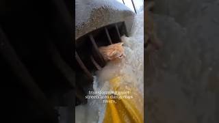 The Moment Hope Arrived: A Flood Rescue Story #AnimalRescue #Heroic #Flood #RescueMission #animals