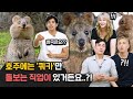 외국인들이 말하는 나라별 이색 직업?! (ft. 야생 동물, 고드름, 사우나...)